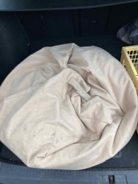 Photo of free Dog items : bed and unopened cans of food (Leckhampton GL53) #1