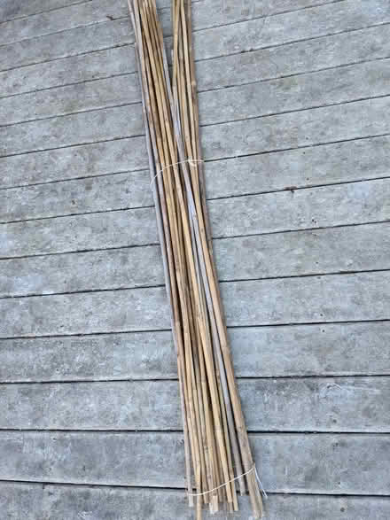 Photo of free Bamboo poles (Greenlake) #1