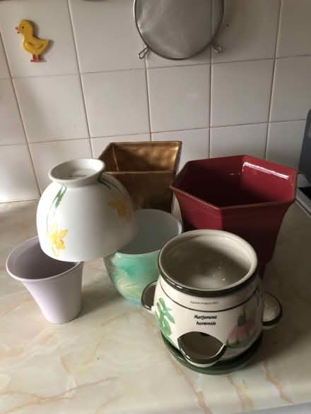 Photo of free Plant pots (Old Hillsborough Road) #1