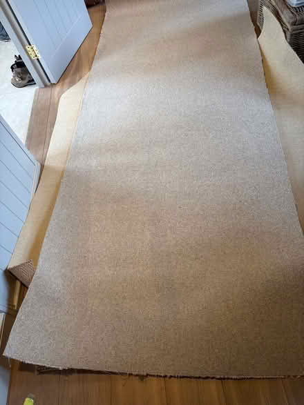 Photo of free Wool carpet remnant (Barrington CB22) #2