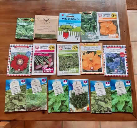 Photo of free Selection of seeds (Woodseats S8) #1