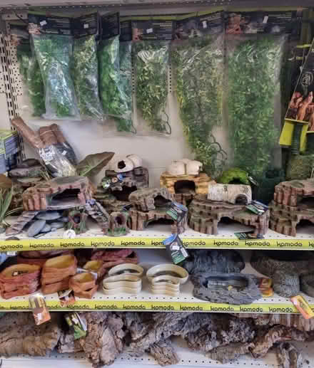 Photo of Reptile/ aquarium accessories (Worthing BN11) #2