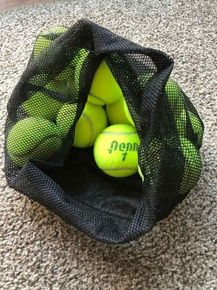 Photo of free Used tennis balls (Fremont near Gomes Elementary) #1