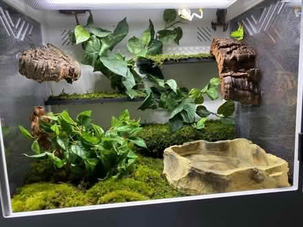 Photo of Reptile/ aquarium accessories (Worthing BN11) #1