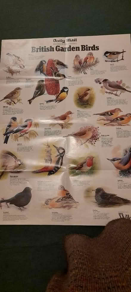 Photo of free Wildlife/ nature posters (Amersham HP7) #2