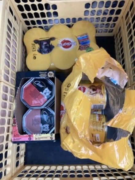 Photo of free Dog items : bed and unopened cans of food (Leckhampton GL53) #2