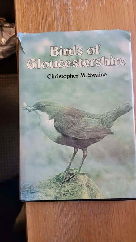 Photo of free Birds of Gloucestershire (Cheltenham GL53) #1