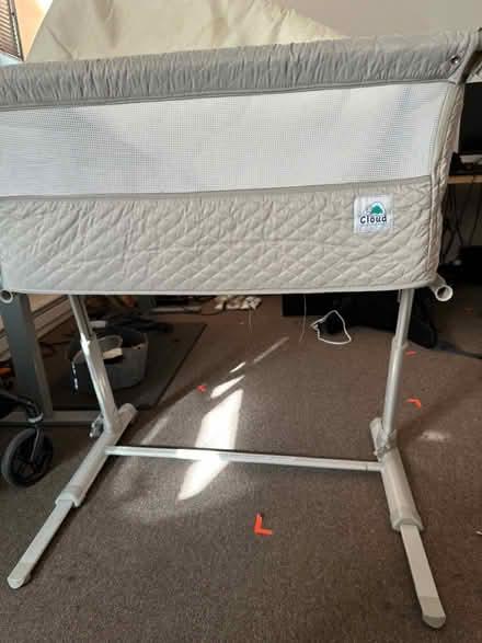 Photo of free Baby Basinette & Changing pad (Near Downtown Santa Cruz) #1