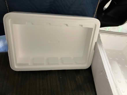 Photo of free Large styrofoam cooler (NE side of Lombard) #3