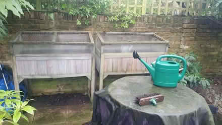 Photo of free Cold frames for garden (Holland Park W11) #1