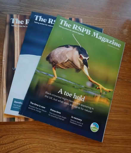 Photo of free 3 RSPB Magazines (Havant PO9) #1