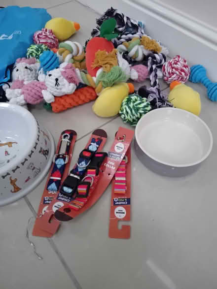 Photo of free Dog puppy bits bowls toys collars (Winwick WA2) #2