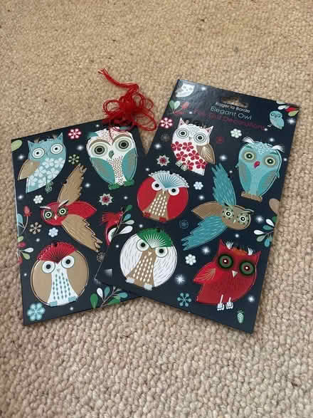 Photo of free Cardboard owl decorations (Dean EH4) #1