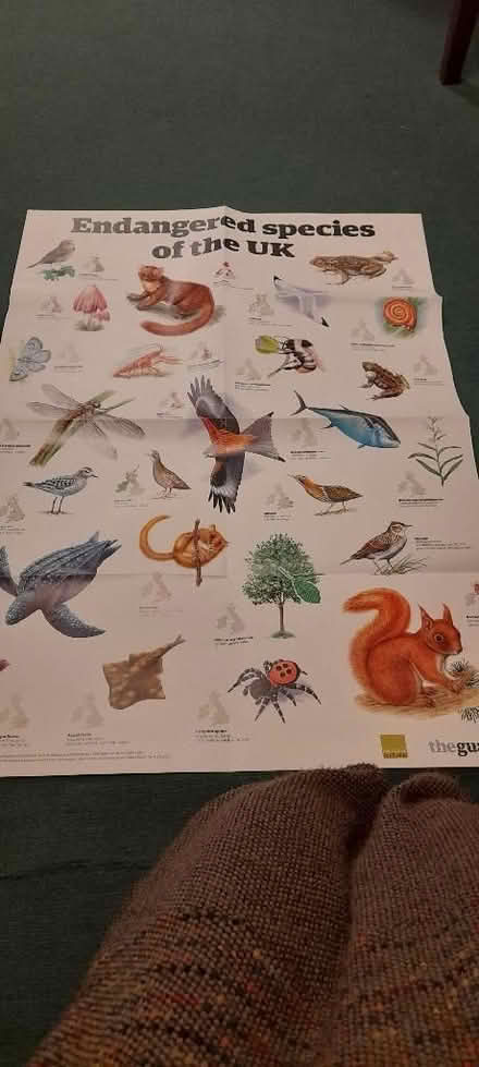 Photo of free Wildlife/ nature posters (Amersham HP7) #1