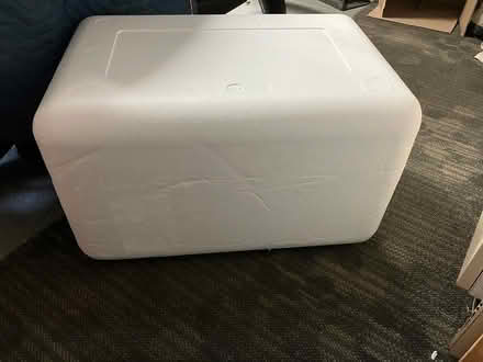 Photo of free Large styrofoam cooler (NE side of Lombard) #1