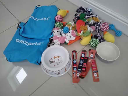 Photo of free Dog puppy bits bowls toys collars (Winwick WA2) #1