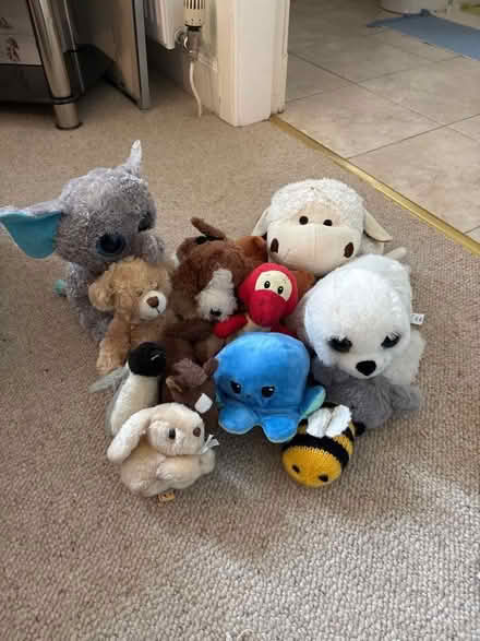 Photo of free Plush animal bundle (Dean EH4) #1