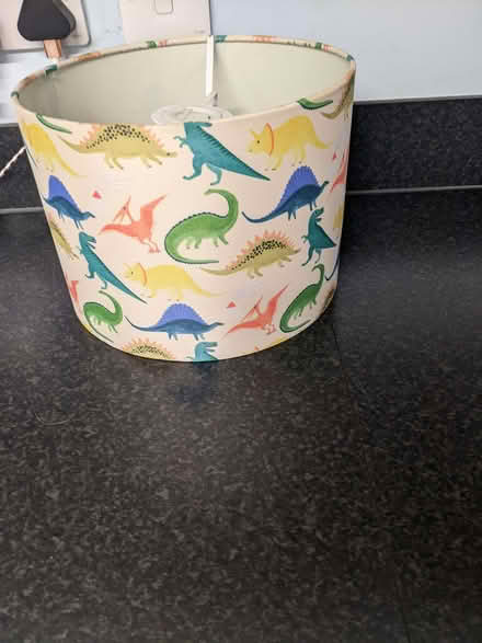 Photo of free Lampshade (Meole Brace SY3) #1