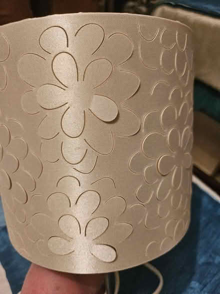 Photo of free Table lamp (Ashton in Makerfield WN4) #1