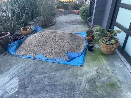 Photo of free Decorative pea gravel (Phinney Ridge) #1