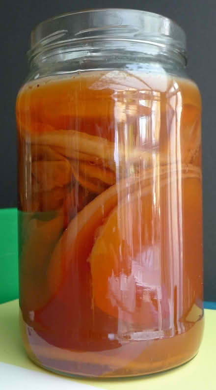 Photo of free Kombucha Scoby - section of. (Hassocks BN6) #1