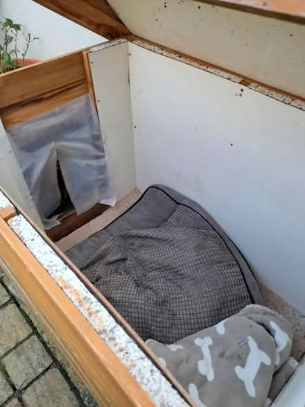 Photo of free Dog kennel (firhouse) #1