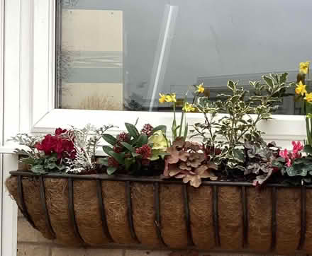 Photo of free Metal plant trough x 2 (Halesworth) #3