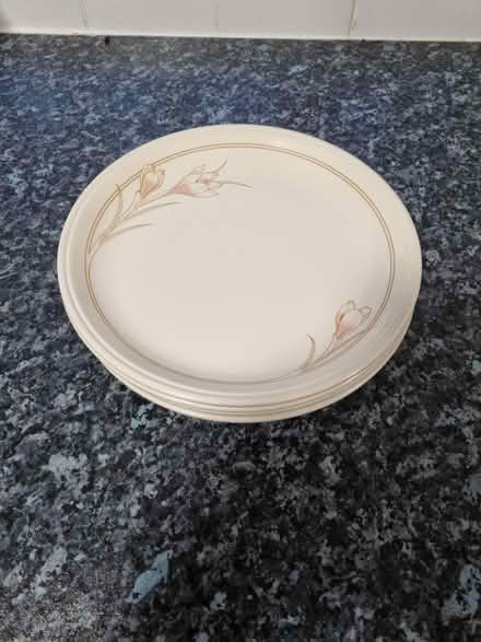 Photo of free Plates (Bletchley MK3) #2