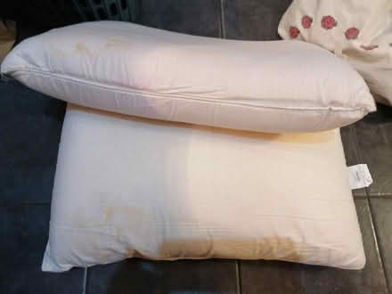 Photo of free 2 x used pillows (Presteigne LD8) #1