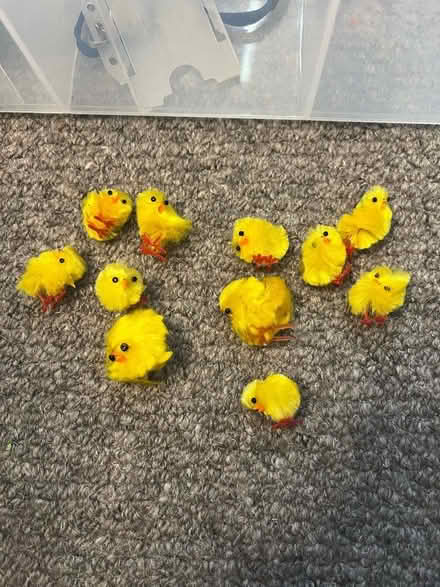 Photo of free Craft - Easter chicks (CO16) #1