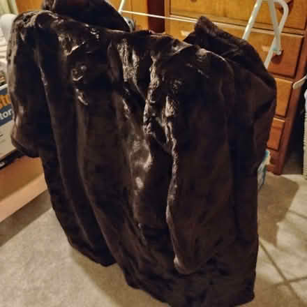 Photo of free Faux Fur Coat (Rayleigh SS6) #1