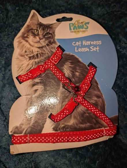 Photo of free Cat harness (Crewe CW1) #1