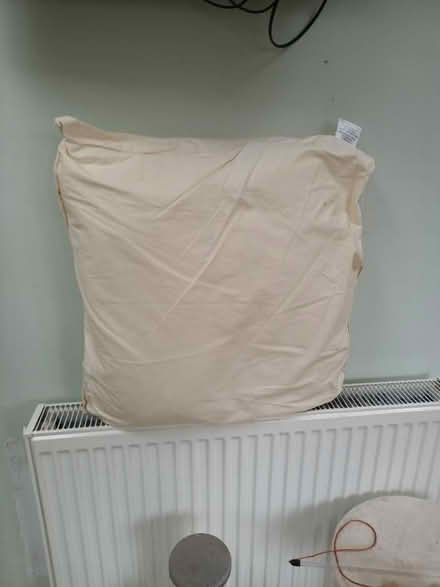 Photo of free Cushions (City of Bristol BS16) #1