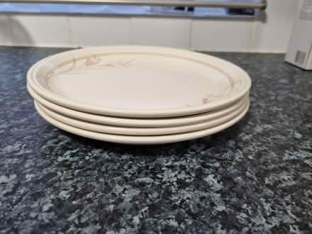 Photo of free Plates (Bletchley MK3) #1