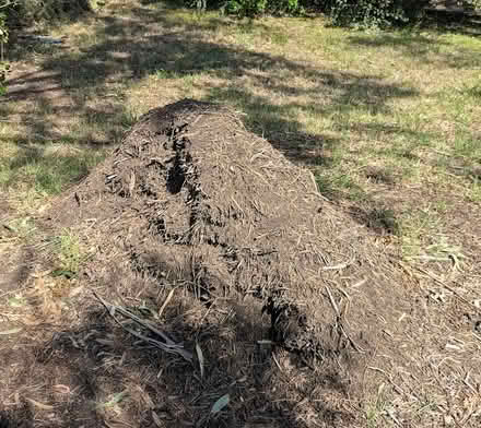 Photo of free Garden Mulch (Kaleen) #1