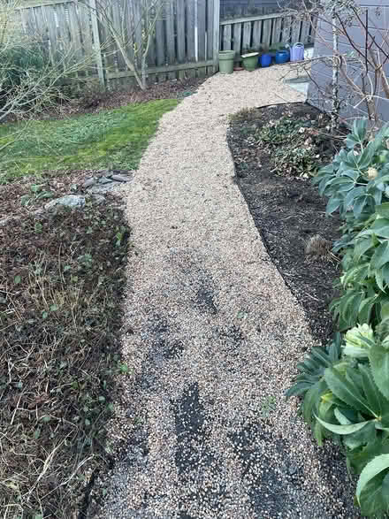 Photo of free Decorative pea gravel (Phinney Ridge) #2