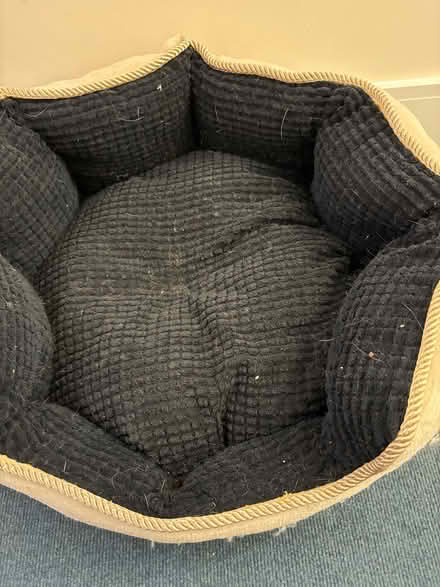 Photo of free Cat bed (W7) #1