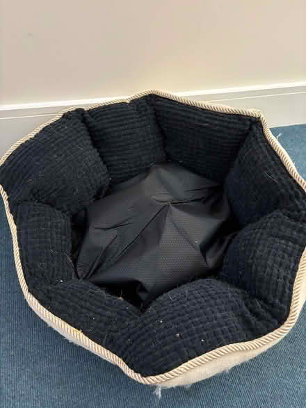 Photo of free Cat bed (W7) #2