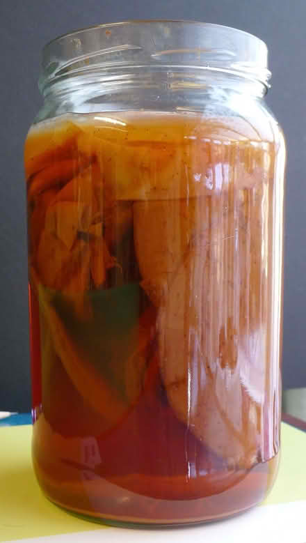 Photo of free Kombucha Scoby - section of. (Hassocks BN6) #2