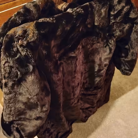 Photo of free Synthetic Fur Coat (Rayleigh SS6) #2