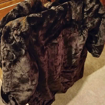 Photo of free Faux Fur Coat (Rayleigh SS6) #2