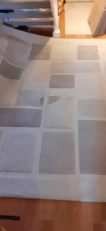 Photo of free Rug (Letchworth) #1