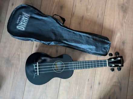 Photo of free Kids Ukulele (Runcorn) #1