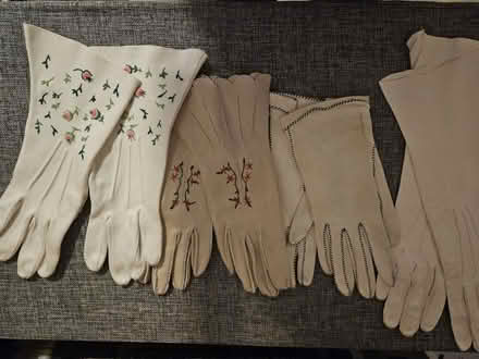 Photo of free Dress gloves (Cleveland Park) #1