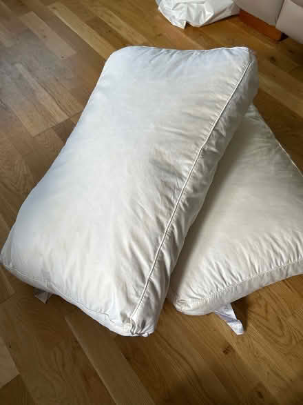 Photo of free Feather pillows (Hayling Island PO11) #1