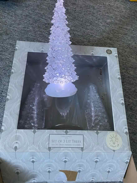 Photo of free Laura Ashley Light Up Trees (South Harting GU31) #1