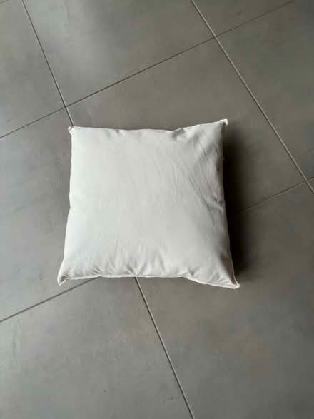 Photo of free Cushion insert (RH12) #1