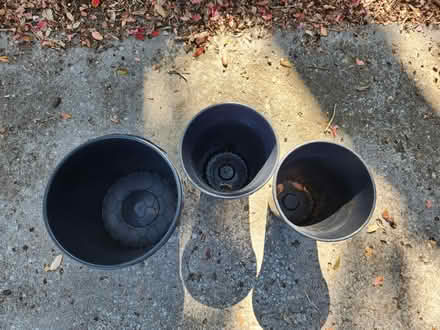 Photo of free Floral buckets (Palm Harbor 34683 CR1 Tpa Rd) #2