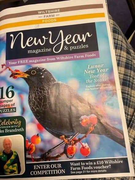 Photo of free New year puzzle magazine (AB15) #1