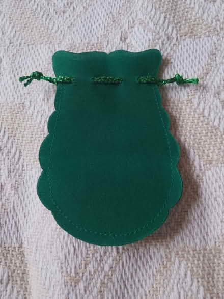 Photo of free Green felt pouch (Morden SM4) #1